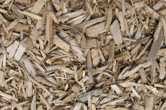 biomass boilers Radlett